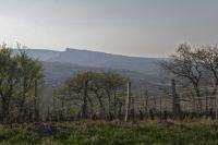 La roche de Solutré